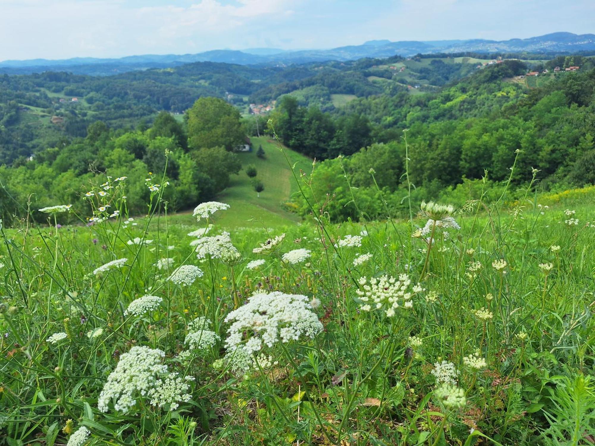 Kuca Za Odmor Freya Počitniška hiša Krapinske Toplice